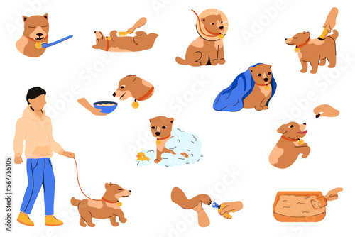 Illustrations with pet care, treatment, bathing, claw care, hair cutting, combing hair, training, feeding, toilet cleaning, brushing teeth, walking, dog care, grooming, cliparts