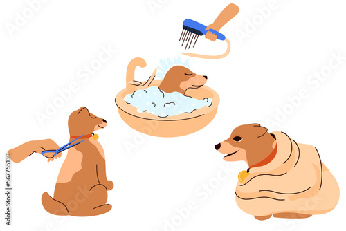 Pet grooming illustrations, dog haircut, dog bathing, dog in towel after bathing, pet grooming, grooming, cliparts