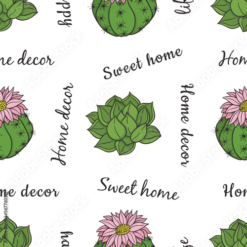 vector graphic seamless pattern with cactus and echeveria