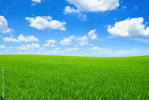 Landscape view of green grass field with blue sky and clouds background.