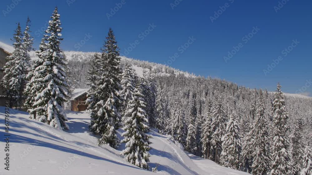 Forest cabin covered in snow on a winter day in mountains Forest cabin covered in snow on a winter day in mountains