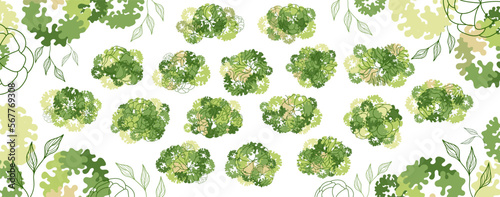 Tree for architectural floor plans. Entourage design. Various trees, bushes, and shrubs, top view for the landscape design plan. Vector illustration.