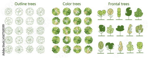 Tree for architectural floor plans. Entourage design. Various trees, bushes, and shrubs, top view for the landscape design plan. Vector illustration.