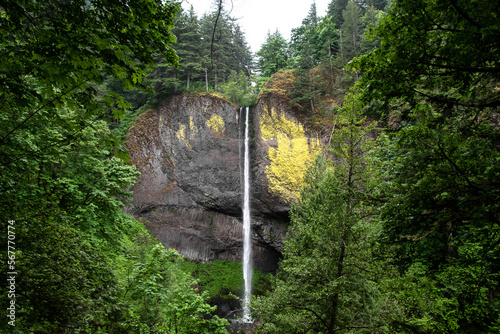 Full Shot of Latourell Falls and Cliffside in the Columbia River Gorge in Oregon & Washington photo