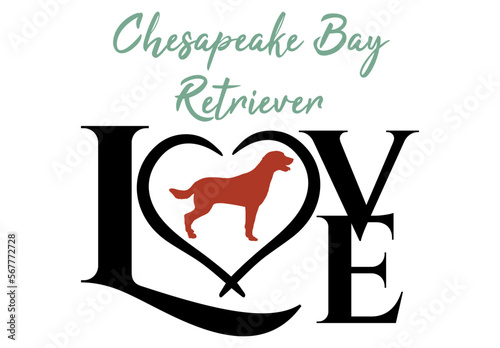 Chesapeake bay retriever dog lover