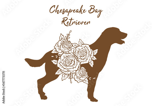 chesapeake bay retriever with flower