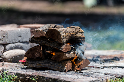 logs on fire, typical argentinean food, grilled meat, grilled meat