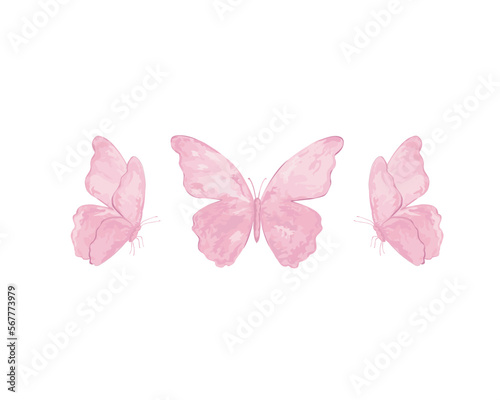 pink butterfly