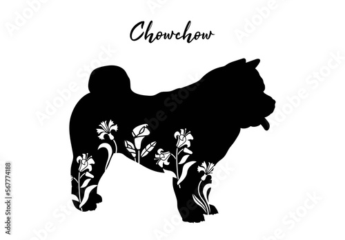 Chowchow with floral design