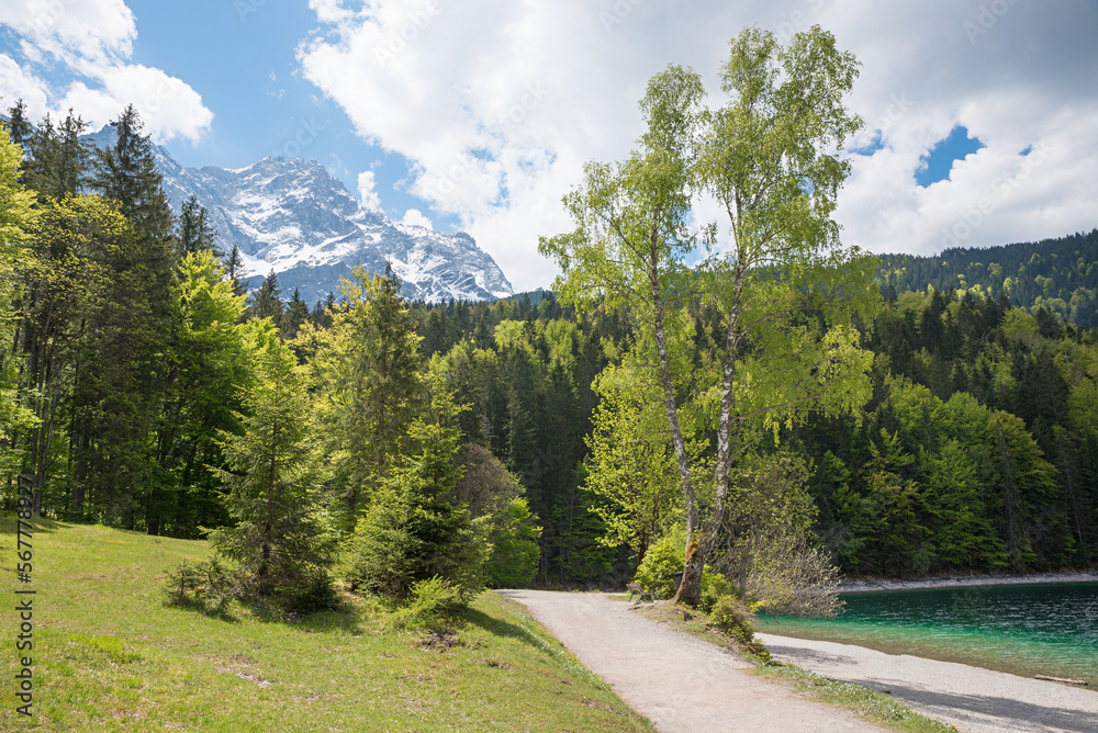 idyllic walkway around lake Eibsee, bavaria, with view to Zugspitze mountain at springtime
