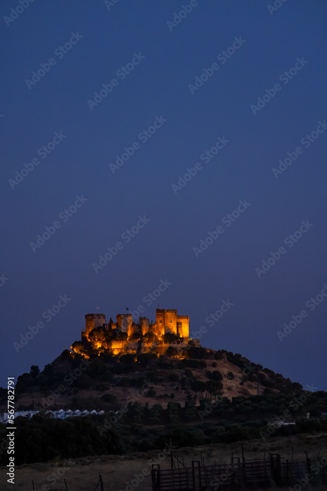 Obraz premium Almodovar del Rio Castle in Andalusia, Spain