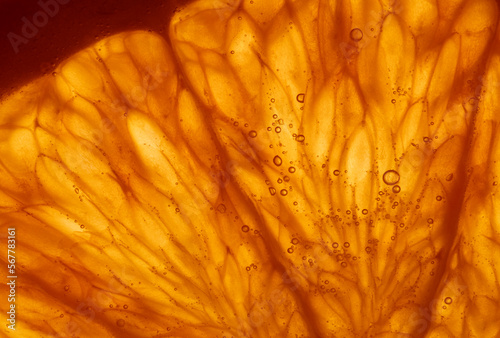 juicy slice of orange, macro photography
