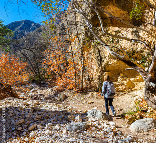 Female Hiker on The McKittrick Canyon Trail, Guadalupe Mountains National Park, Texas, USA photo