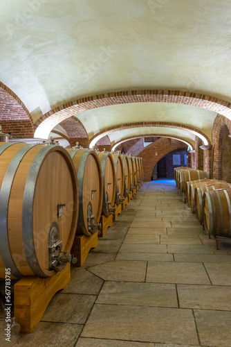 Wine cellar in Piedmont  Italy