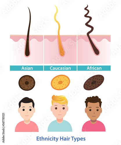 Ethnicity hair types vector illustration isolated on white background.
