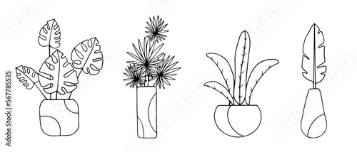 Tropical leaves in flowerpots. Linear sketches, coloring pages of various plants. Vector graphics.	