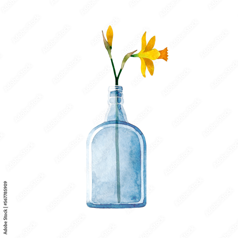 Hand painted watercolor illustration of glass bottle with yellow Daffodil flower. Cozy home decor items. Spring flowers. Isolated objects on transparent background Hand painted watercolor illustration of glass bottle with yellow Daffodil flower. Cozy home decor items. Spring flowers. Isolated objects on transparent background
