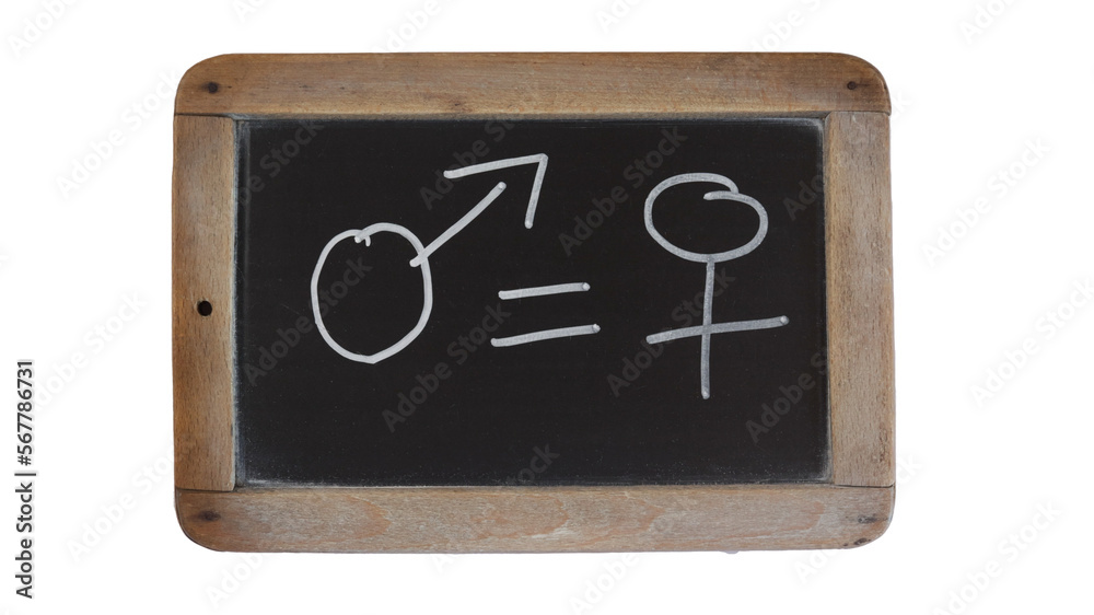 ardoise avec un dessin représentant l'égalité homme/femme isolé sur un fond blanc ardoise avec un dessin représentant l'égalité homme/femme isolé sur un fond blanc