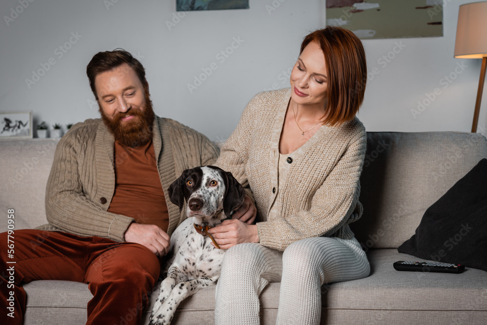 Family petting dalmatian dog while sitting near remote controller on couch. Family petting dalmatian dog while sitting near remote controller on couch.