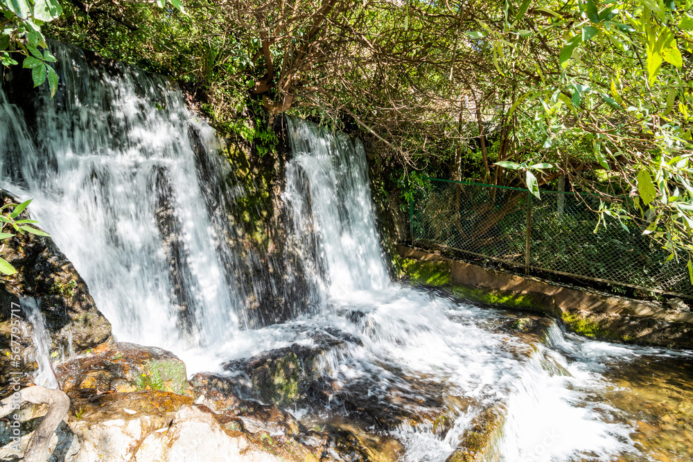 Woodland waterfall in Nainital, Uttrakhand 