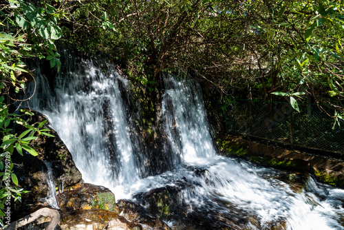 Woodland waterfall in Nainital  Uttrakhand 