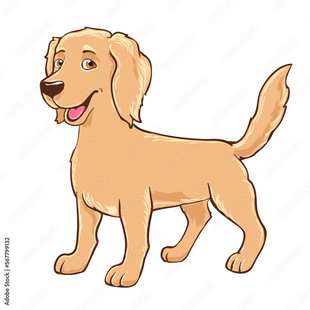 Cartoon cute dog on white, friendly golden retriever drawn vector illustration Cartoon cute dog on white, friendly golden retriever drawn vector illustration