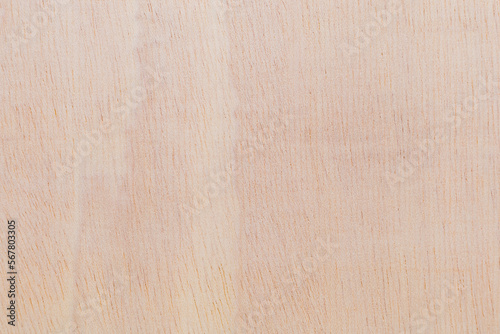 Light rough textured cut surface of an African tree. Wood background or blank for design