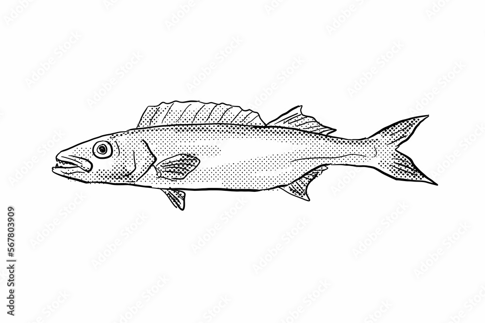 Fototapeta premium Oilfish Ruvettus pretiosus Hawaii Fish Cartoon Drawing Halftone Black and White