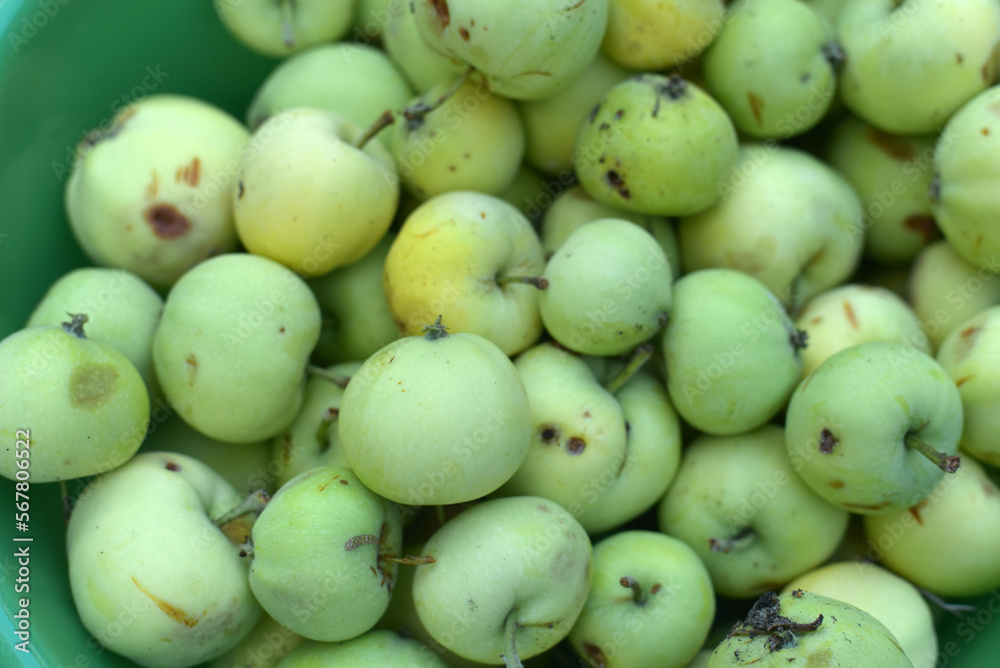 Homemade apples in a green bowl