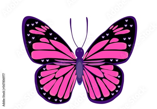 Multicolor butterfly vector illustration for valentine’s day 