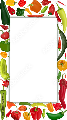 Vertical banner with different types of peppers. Sweet peppers. Mild and medium hot Chili peppers. Super hot peppers. Vegetables. Vector illustration isolated on white background. Template.