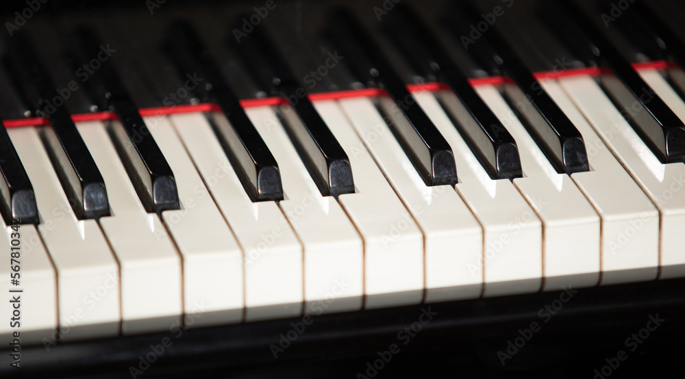 piano keys black and white close up piano keys black and white close up