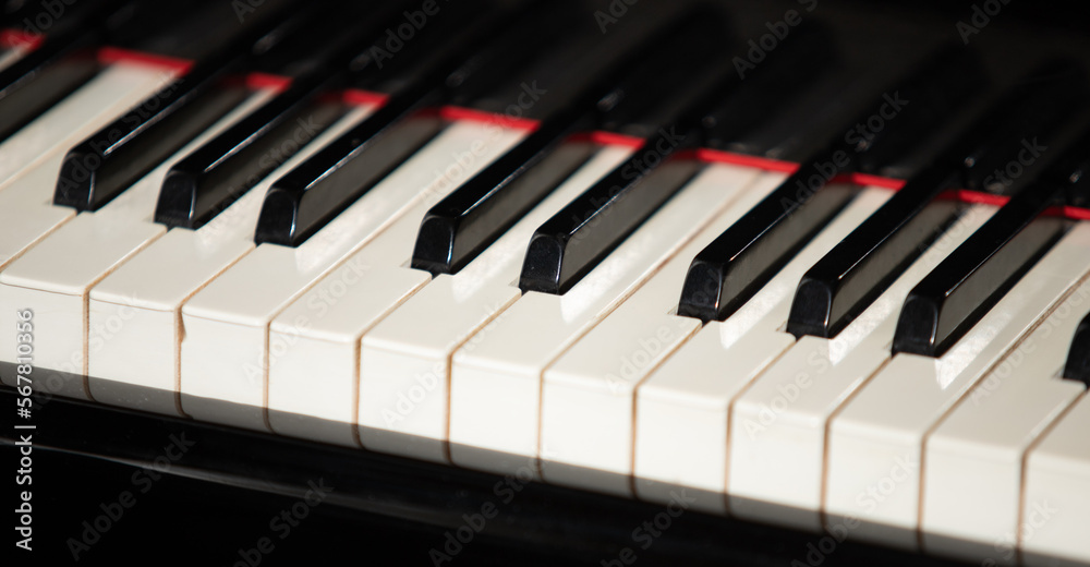 piano keys black and white close up piano keys black and white close up
