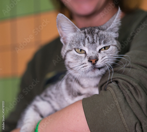 Fototapeta Naklejka Na Ścianę i Meble -  Female volunteer holding a stray cat in her arms. Kyiv, Ukraine. High quality photo