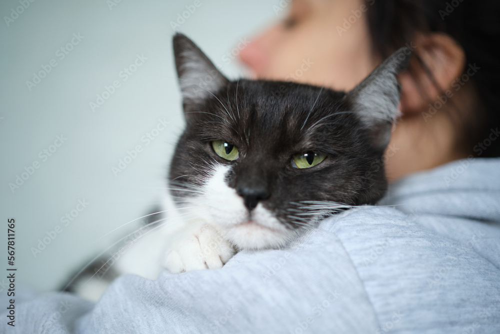 Female volunteer holding a stray cat in her arms. Kyiv, Ukraine. High quality photo Female volunteer holding a stray cat in her arms. Kyiv, Ukraine. High quality photo