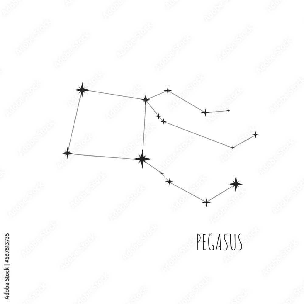 Simple constellation scheme Pegasus.   Doodle, sketch, drawn style. Constellation Pegasus scheme collection. Stars on white background