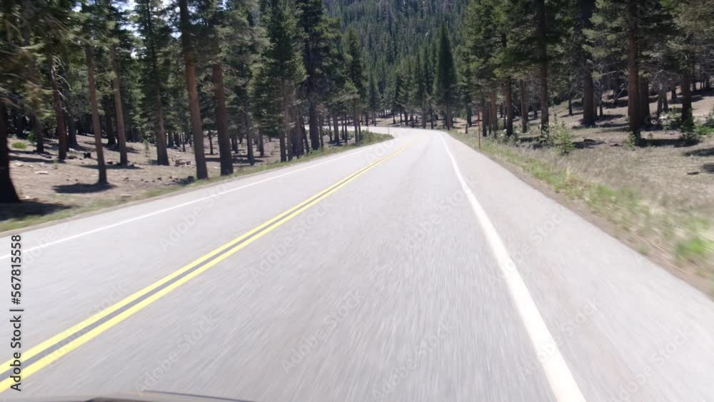 driver's point of view view road without vehicles with lines empty yellow highway with national parks landscape usa concept freedom travel adventure loneliness choose your path lifestyle driver's point of view view road without vehicles with lines empty yellow highway with national parks landscape usa concept freedom travel adventure loneliness choose your path lifestyle