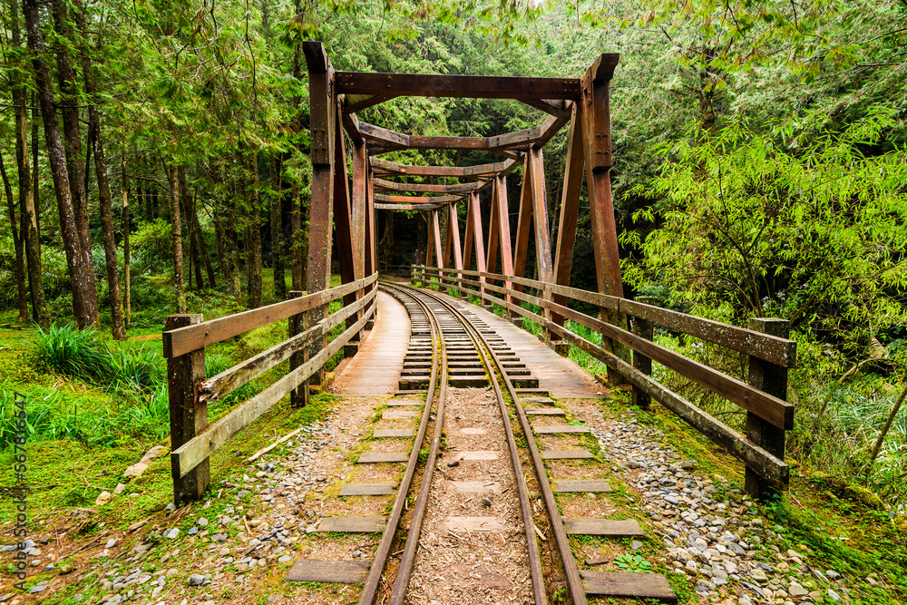The old forest railway section of the Shuishan Trail at Alishan Forest Recreation Area in Chiayi, Taiwan. Now obsolete and unable to operate. The old forest railway section of the Shuishan Trail at Alishan Forest Recreation Area in Chiayi, Taiwan. Now obsolete and unable to operate.