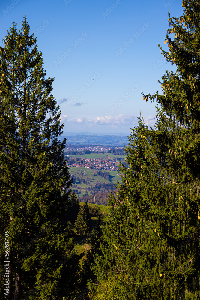 Obraz premium Steibis_9695