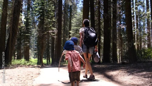 Family mother with children 2 and 5 years old walking in Yosemite National Park California redwoods sequoia USA healthy lifestyle summer vacations natural environment