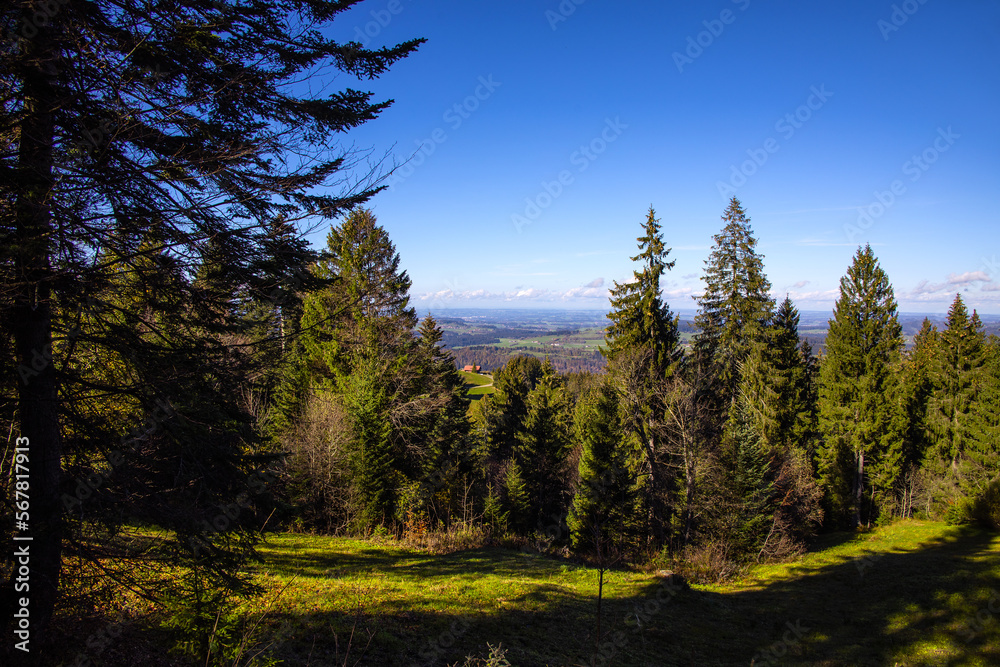 Imberg_9693 Imberg_9693