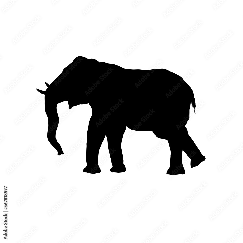 Fototapeta premium elephant silhouette - vector illustration