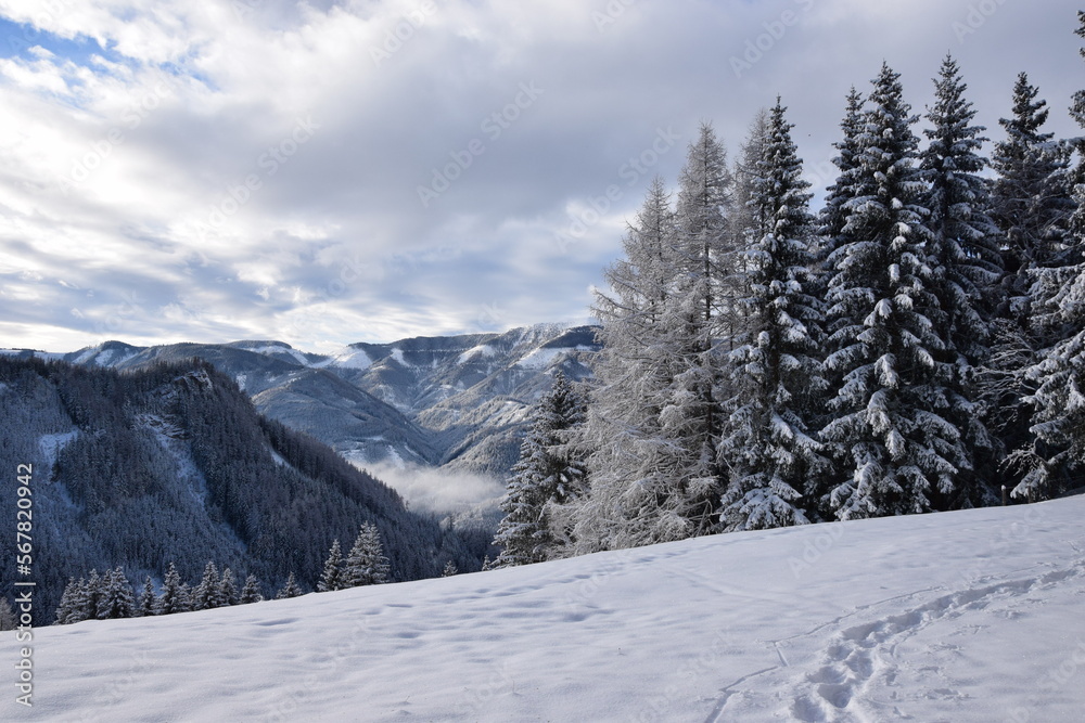 Verschneite Landschaft in der Steiermark (Österreich) Verschneite Landschaft in der Steiermark (Österreich)