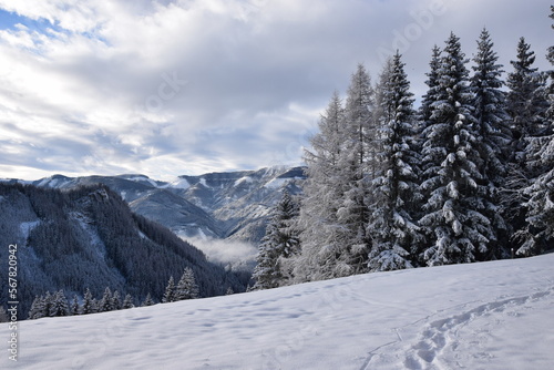 Verschneite Landschaft in der Steiermark (Österreich) © Anton