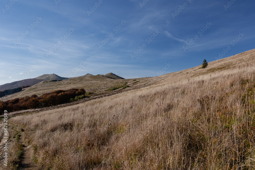 Fototapeta premium Polish Bieszczady Mountains in autumn among grasses and hills - landscape with sky