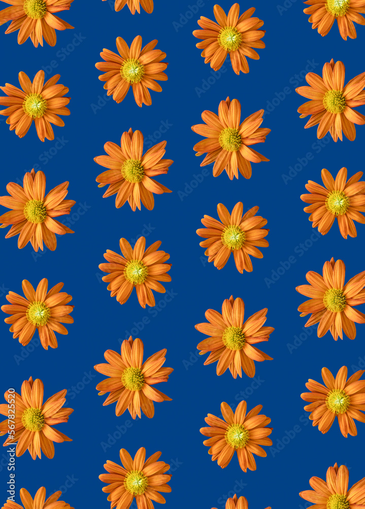 Creative seamless floral pattern made with fresh orange flowers against vibrant blue background. Flat lay. Spring, summer natural concept. Creative seamless floral pattern made with fresh orange flowers against vibrant blue background. Flat lay. Spring, summer natural concept.