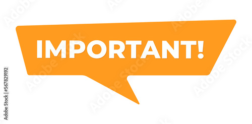 Vector Illustration Important Label. Modern Web Banner