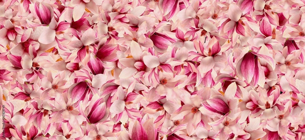 pink flowers abstract background pink flowers abstract background