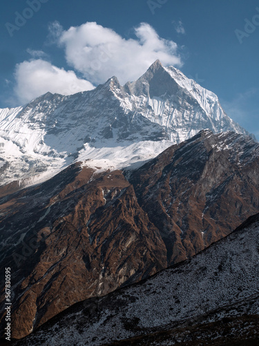 Fototapeta Naklejka Na Ścianę i Meble -  Nepal. Vertical view of Mt Fishtail Machapuchare in the Himalaya range, Annapurna Santuary Trek.