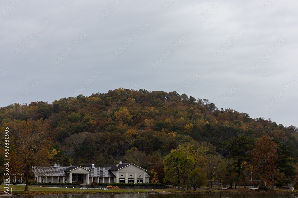 Fototapeta premium house in the woods